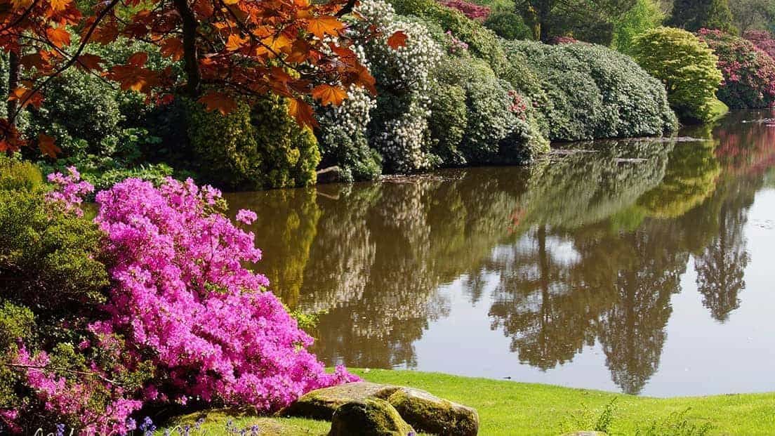 Sheffield Park Gardens